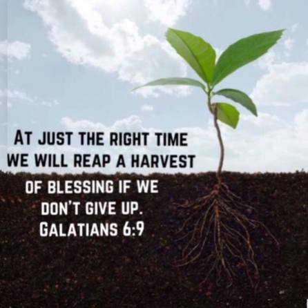 Harvest verse